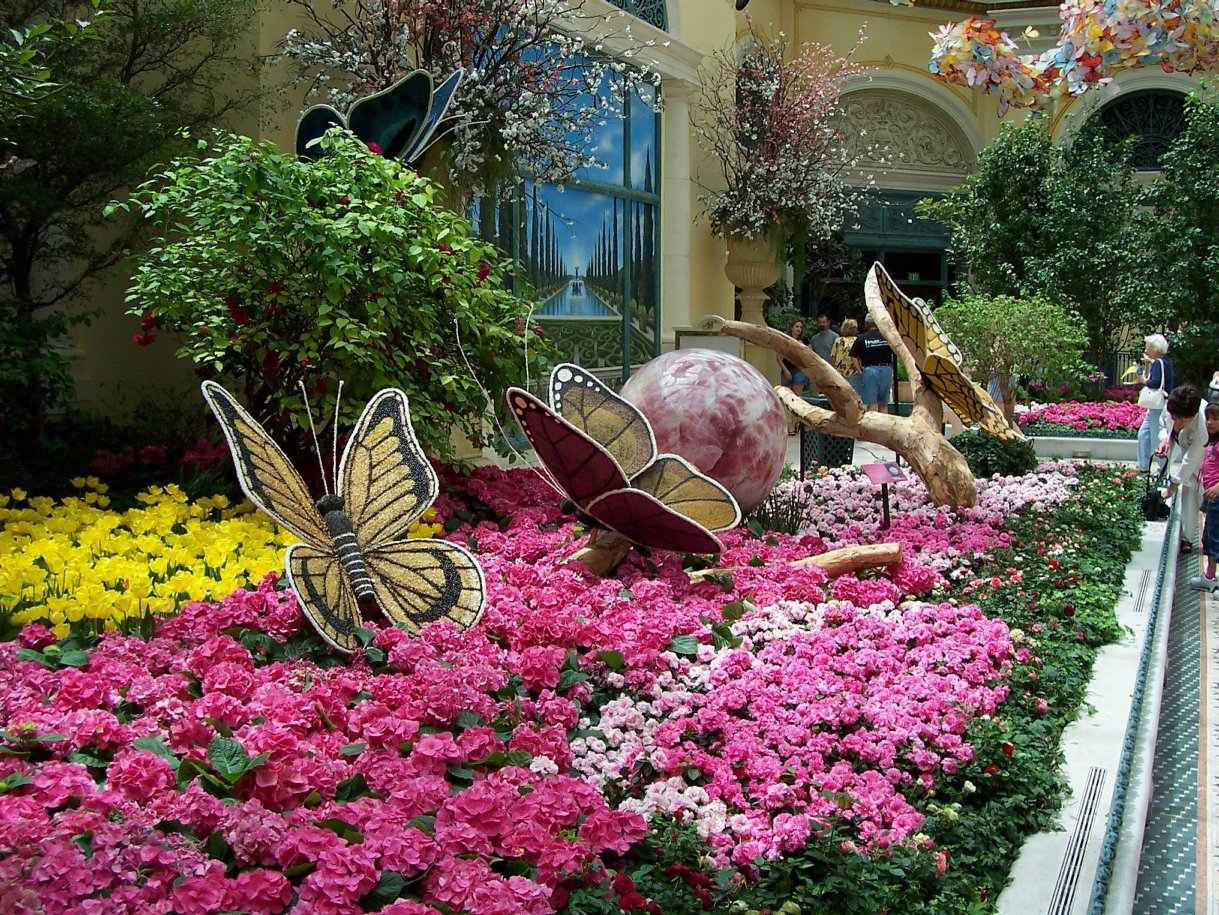 behind the scenes of bellagio's gardens