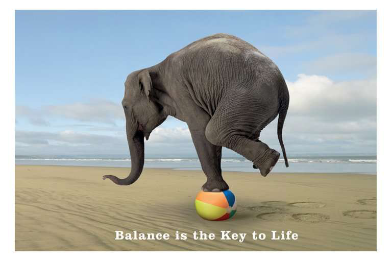 Image result for quotes about work life balance