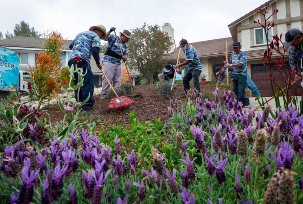 California Lawn Removal Rebate Program