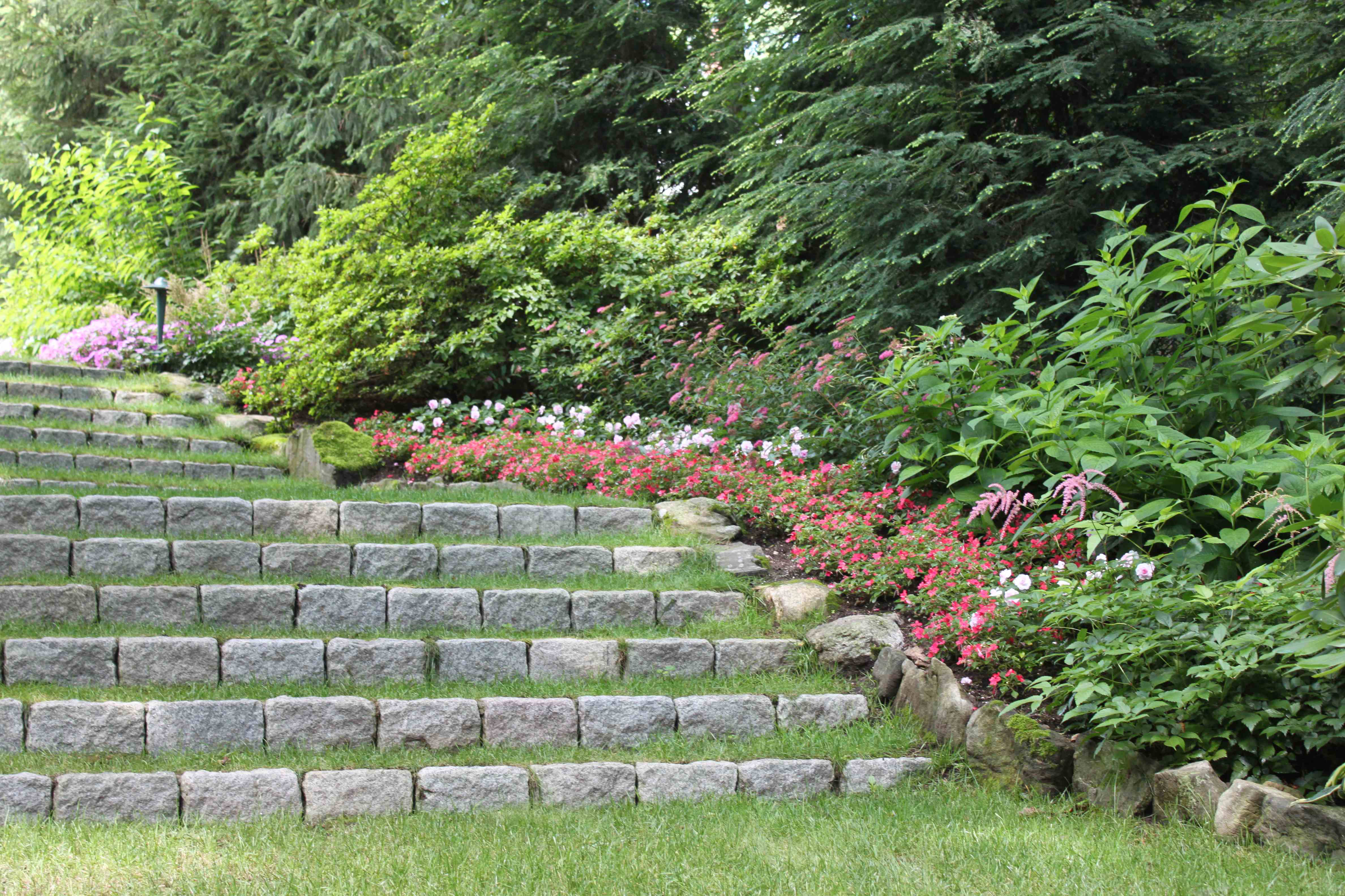 How to avoid some common landscape design mistakes

