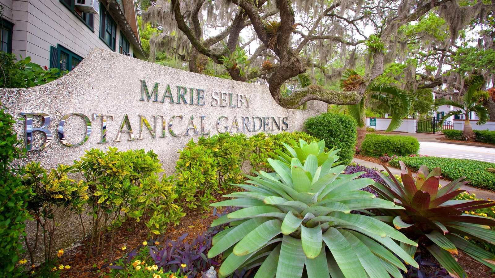 Marie Selby Botanical Gardens Debuts Brand New Design Plan