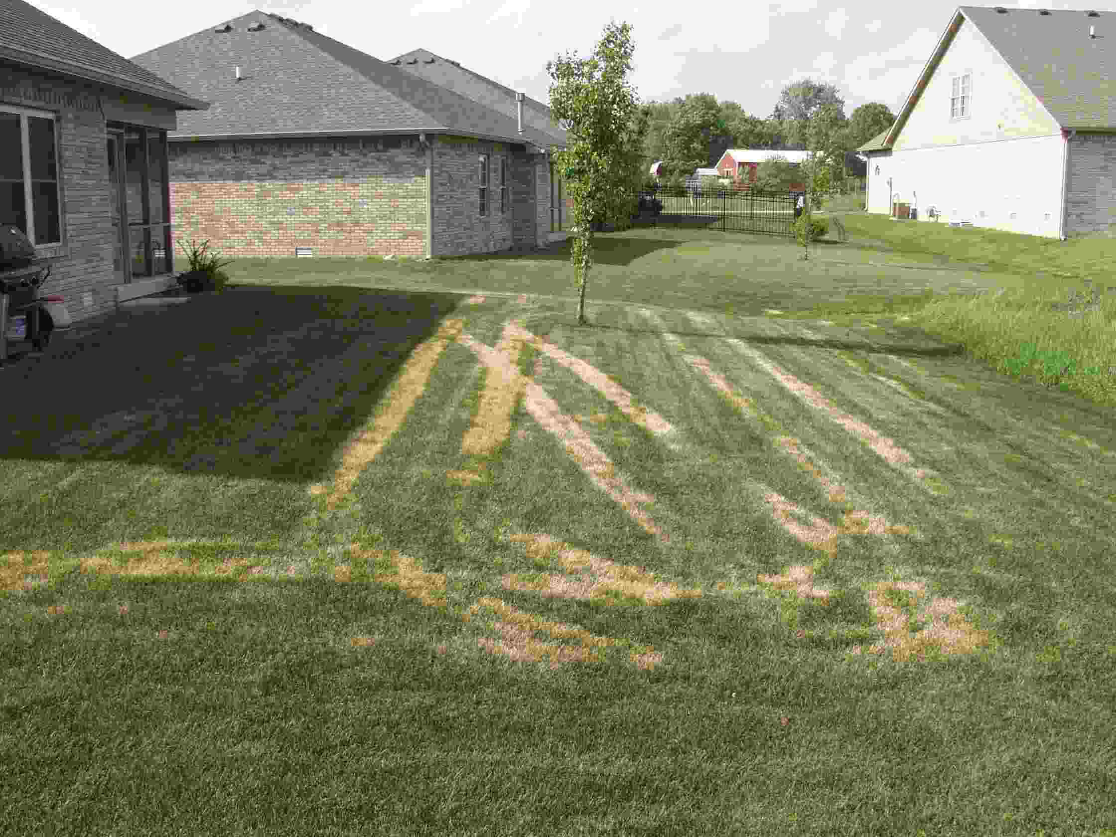 Drought damage on lawn from ride on spreader 