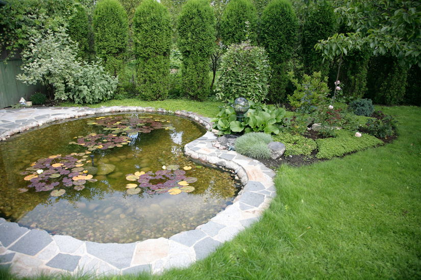 Designing And Maintaining Backyard Ponds For Landscapers