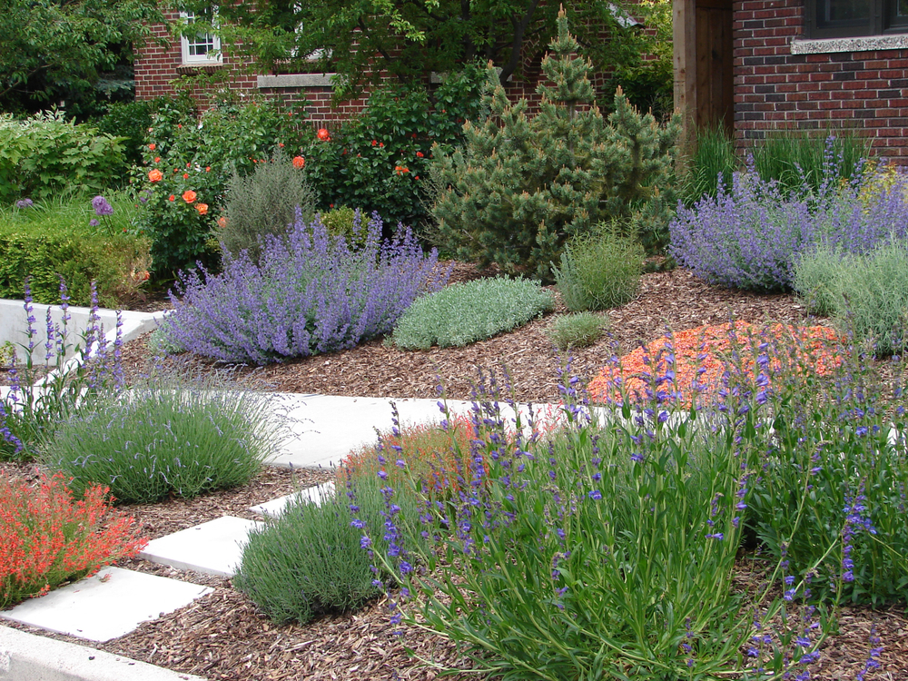 Xeriscape Landscaping Guide For Water Conservation,Origami For Beginners Step By Step