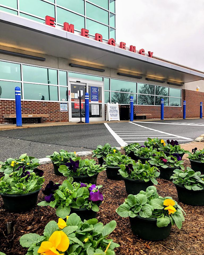 Pansies are planted outside the emergency room